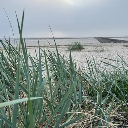 Briesenick-radde Strandperle