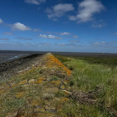 Briesenick-radde Strandperle